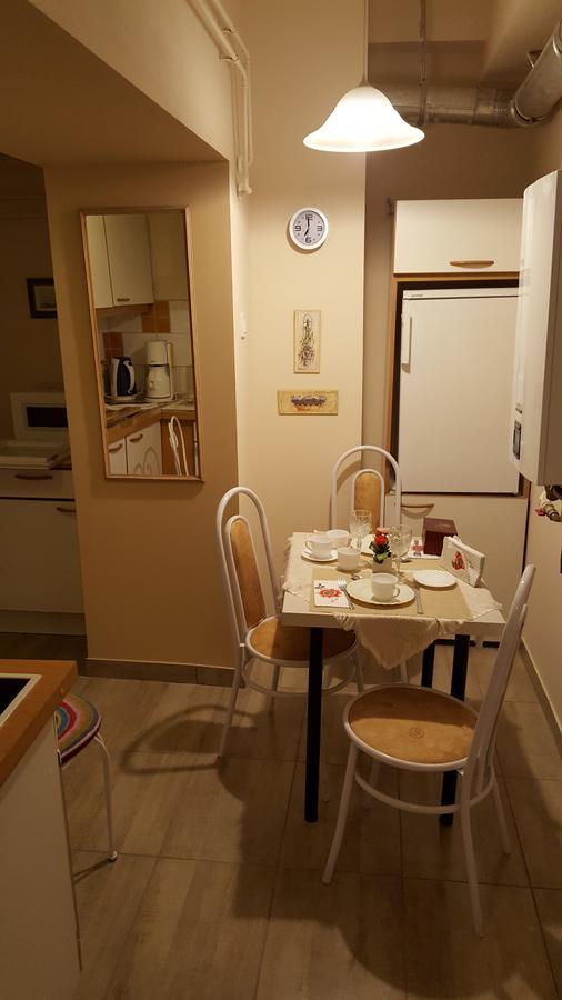 Hangulat Vendeghaz Apartmanok 欧罗什哈佐 外观 照片